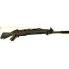 Carab occ SIG MANURHIN sg542 cal 243w