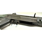 Carab occ SIG MANURHIN sg542 cal 243w