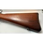 Carab SCHMIDT RUBIN 1889 cal 7.5x53