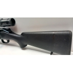 Carab occ BLASER R93 8x68s
