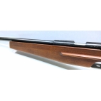 Carabine DIANA 820 cal 22lr occasion