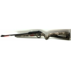 Carabine WINCHESTER wildcat strata cal 22lr occasion