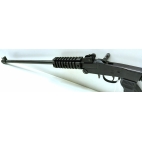 Carabine CHIAPPA little badger cal 17hmr occasion