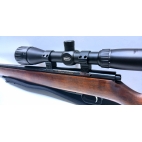 Carabine RWS hw60 cal 222rem occasion