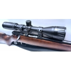Carabine RWS hw60 cal 222rem occasion
