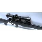 Carabine ROSSI 8122 cal 22lr occasion