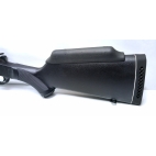 Carabine ROSSI pompa cal 222rem occasion