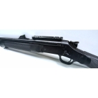 Carabine ROSSI pompa cal 222rem occasion