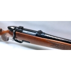 Carabine STEYR M stutzen cal 243w occasion