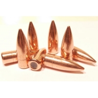 PARTIZAN 311-123grs FMJ