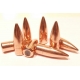 Ogives PARTIZAN 311-123grs FMJ