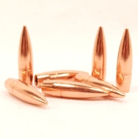 PARTIZAN 311-174grs FMJ