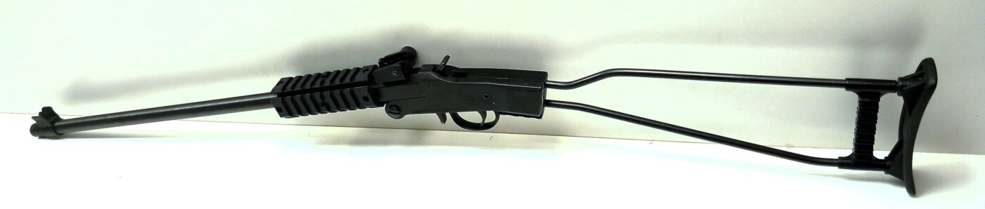 Carabine CHIAPPA little badger cal 22lr